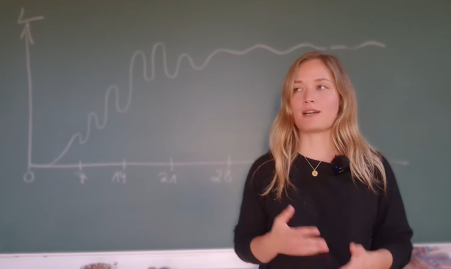 7-Jahres Rhythmus des Lebens